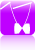 241