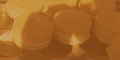 1504logo