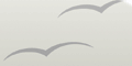 1513logo